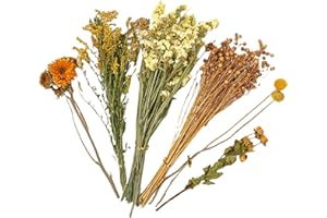 fanelod Ropa de Cama de hámster de Flores, decoración de hábitat de Flores de Animales pequeños, Ropa de Cama Floral de hámster, Juego de Aerosoles de decoración de hábitat para hámsteres