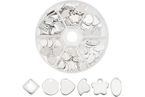 PH PandaHall 1 Scatola 120PCS Ciondoli Pendenti in 304 in Acciaio Inox per Collana Bracciali Fai da Te, Forma Tag, Acciaio Inossidabile Colore, 6-13x4-10x0.5-1mm, Foro: 1-1.5mm
