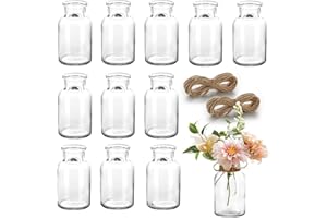Otauoaea Lot de 12 Mini Vases en Verre, 130ML Petits Récipients à Fleurs Décoratifs Avec Ficelle - Pour Décorations de Table Moderne, Centres de Table
