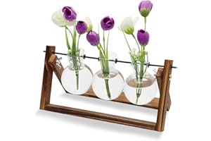 MAIXINNEW 3 Piezas Jarrones de Vidrio Hidropónico con Soporte de Madera, Estación de Propagación para Plantas, Jarrones Plantas de Agua para Hogar, Oficina, Jardín