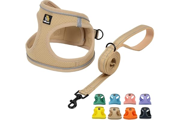 BELLA & PAL Harnais Anti-Traction pour Petit Chien et Chiot avec Laisse, Ajustable Sans Étranglement, Maille Aérée, Bande Réfléchissante, Kaki, Taille S