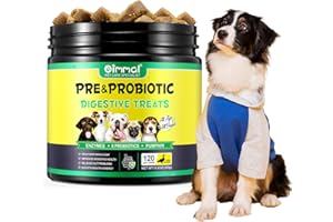 tkwwty Digestive Probiotics Chews for Dogs(Duck Flavor), Canine Supplements for Digestive and Immunity Support, Probiotics Treats for Digestive Support, Gut Health, Bad Breath & Itchy Skin(120 Count)
