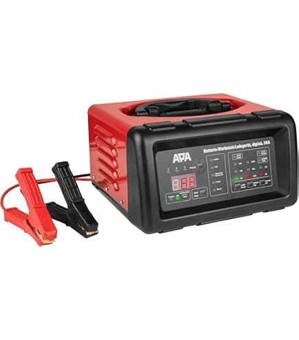 Cargador De Baterias Coche Y Moto AEG Cargador De Bateru00eda CW20