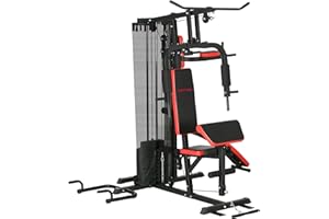 SPORTNOW Stazione Fitness Multifunzione per Allenamento del Corpo, Panca Multifuzione in Acciaio e PU con 65kg di Pesi totale, 225x175x200 cm, Nero