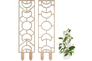 ORIGREEN Holz-Pflanzenrankgitter für Kletterpflanzen im Innenbereich, Decorify Rankhilfe für Zimmerpflanzen, Pflanzenstütze mit feuchtigkeitsbeständiger Schicht für Weinreben, Efeu, Hoya (2 Stück, De).