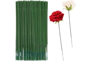 Jeffdad Lot de 100 Troncs de Fleurs Verts 25 cm - Fil de Tige pour Bricolage et Bouquets - Fil Floral pour Loisirs Créatifs