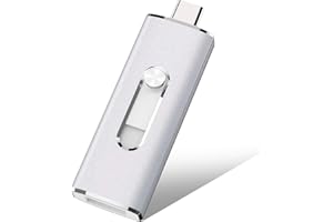 RAOYI Clé USB C 64 Go, 2-en-1 Clé USB C et USB 3.0(Gén 3.1) OTG Flash Drive, Clef USB Type C 64Go pour Windows Mac OS PC, Chromebook Pixel, Huawei Matebook (Argent)
