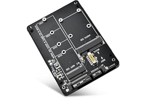 ELUTENG M.2 NGFF/MSATA zu 2,5" SATA III Adapter, 2 in 1 Konverter Gehäuse für B Key/B&M Key von M.2 NGFF/MSATA (Nicht für NVMe/PCIe/M-Key)