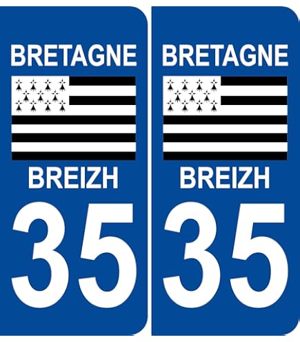 Jintora - 2 Plaque Iatriculation Voiture Départeent Autocollant 2