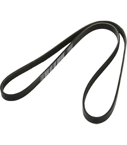 Courroie Multi-V SKF VKMV 5PK1199 - Longueur Origine - Pour Système Accessoires Véhicule - Qualité Pro
