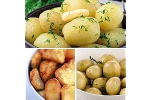 THOMPSON & MORGAN Patio Refill Potato Collection Small 6X Tubers Each of ‘Charlotte’, ‘Maris Peer’ and ‘Vivaldi’ Garden Plant Seed Potatoes Vegetable Plants Easy to Grow Your Own by Thompson and Morgan