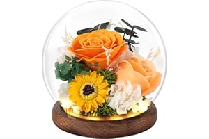 ‎FAYODO FAYODO Ewige Rose im Glas mit Licht, Konservierte Blumen als Geschenke für Frauen Mama Oma Freundin zum Valentinstag Muttertag Geburtstag Weihnachten Jahrestag Erntedankfest-Sekt