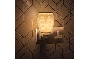 LESSER AND PAVEY Ceramic Desire Aroma Plug In Warmer | Angel wings design | 1 Pc, Cream