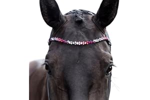 MagicTack Pferde Stirnriemen geschwungen für Trense Größe Warmblut pink, rosa Kristalle Design Pink Rainbow Mixed Swing