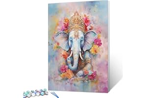 Tucocoo Ganesha - Kit de pintura por números, lienzo de 16 x 20 pulgadas, pintura al óleo digital para adultos principiantes con pinceles y pigmento acrílico, imagen floral abstracta colorida para