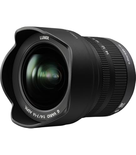 Panasonic Lumix G Vario 7-14mm f4.0 Micro Four Thirds Ultra