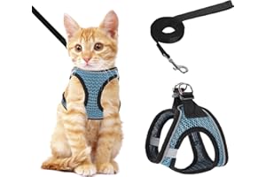 NiCoLa Cat Harness and Lead for Walking, Escape Proof kitten harness and lead set with Reflective Strip, Adjustable Kitten Vest Harness for Small Adult Cat Walking (Blue, XS)