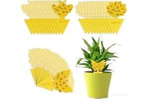 VFANDV 60 Piezas Trampas para Insectos, Trampas Adhesivas para Moscas de la Fruta Pegatinas Adhesivas de Doble Cara Papeles Pegajosos Amarillos Trampas de Moscas Atrapa Moscas