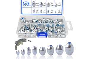 XSHAO® 50 Pcs Kit Plomb Peche, Ovale Plombs de Poids Pêche 3g/ 5g/ 7g/ 10g/ 15g/ 20g/ 30g/ 40g avec âme en Plastique et Boîte de Rangement pour Pêche en Plein Air et en Mer