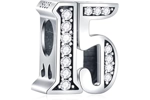 CRISNATA 5,10 to 50 52 55 56 60 65 70 75 80 Birthday Charms fit European Anniversary Bracelets, 925 Sterling Silver Number Charms with Clear CZ Stones, Gifts for Family/Lover/Friends