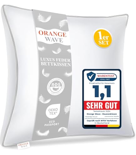 Hofmann Bayern Kopfkissen 50x60 Cm – Federkissen Mit 30% Daunen, 500 G Füllung
