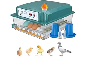 Hethya Incubadora Huevos Gallina, Incubadora de 24-36 Huevos, Incubadora Automática con Monitoreo de Humedad, Volteo Automático de Huevos y Lámparas de Huevo
