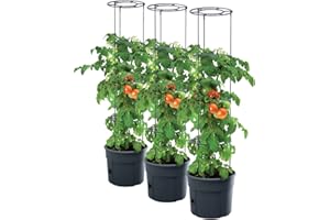 PAFEN 3 donice Tomato Grower na flance pomidorów, 295 x 1152 mm, do ogrodu, na taras