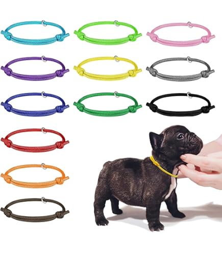 GAMUDA Puppyhalsbanden - Super zachte nylon wattering puppy ID