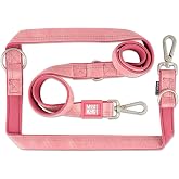 Max & Molly Urban Pets Matrix 2.0 &Ccedil;ok Fonksiyonlu K&ouml;pek Gezdirme Kayışı (Rose, L)