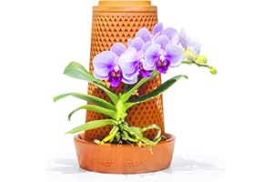 ZOZOVR Macetas de Barro Decorativas para Interior con Sistema Autorriego,Maceteros de Terracota y Plato para Plantas Decorativas como Orquidea
