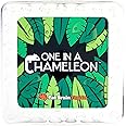 Fat Brain One in a Chameleon, Kids Puzzle Matching Game, Educational Brain Teaser, Suitable For Boys & Girls Aged 6 Or Above