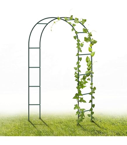 Arche De Jardin De 40 Cm De Large, Plantes Grimpantes Support D'arche De Rose, Pergola De