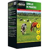 Semillas Batlle Meadow seeds - 1 kg