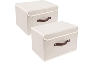 TYEERS Collapsible Storage Box with Lid, Fabric Storage Box for Clothes, Wardrobe Storage, 38x25x25 cm, Set of 2, Beige
