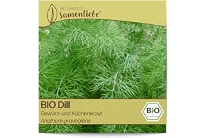 Samenliebe BIO Dill Samen alte Sorte Gewürz- und Küchenkraut aromatische Küchenkräuter Wildkräuter grün gelb 500 Samen samenfestes Kräuter Saatgut für Küche indoor und Balkon Garten BIO Kräutersamen