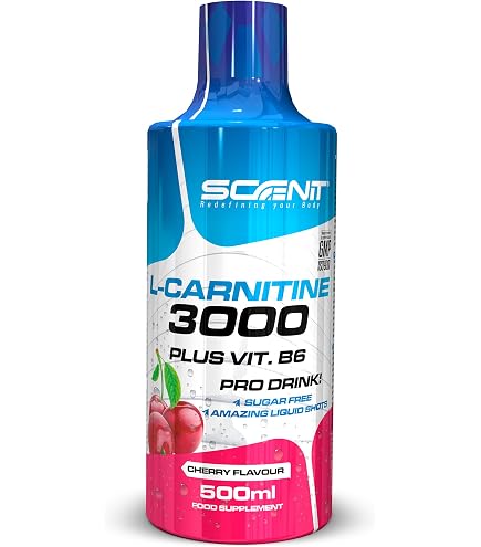 l carnitina liquida para que serve L-Carnitina Líquida Nutrition Labs 480ml Frutas Vermelhas com Vitaminas B5 B6 l carnitina liquida para que serve L-Carnitina Líquida Nutrition Labs 480ml Frutas Vermelhas com Vitaminas B5 B6