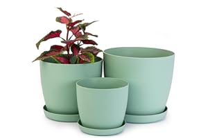Home Garden Ornaments Maceta Verde Juego de 3 Tamaños 14/16/18 cm - Mate Macetas Plastico con Platillo sin Agujeros de Drenaje - Maceteros Exterior - Macetero Interior (Verde)