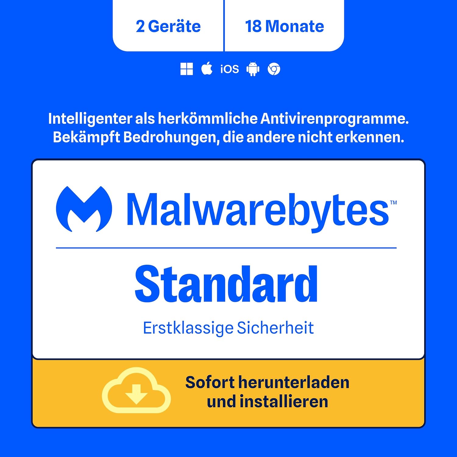 Vue 10