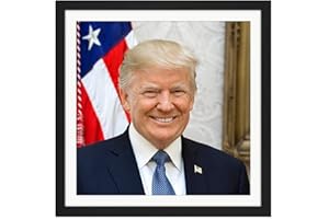 ARTERY8 Craighead Portrait US President Donald Trump Photo Square Wooden Framed Wall Art Print Picture 16X16 inch Président Photographier Bois Mur Image