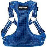 Voyager by Best Pet Supplies - Reflektif 3M Şeritli Tamamen Ayarlanabilir Basamaklı Ağ Koşumu - Kraliyet Mavisi (Uyumlu Kesim