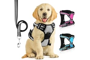 SIBOTER Imbracatura per cani anti-trazione per cani imbracatura per cani anti trazione riflettente con guinzaglio per cani per allenamento all'aperto, grigio, M