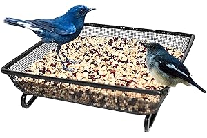 RAM ONLINE Ram® Bird Wild Bird Garden - Bandeja para pájaros, Color Negro