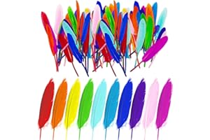 GTYHH 100 Pezzi di Piume Colorate, Piume per L'Artigianato, Materiali Decorativi Fai-da-Te, Possono Essere Utilizzati per Realizzare Copricapi, Pendenti, Orecchini, ECC.