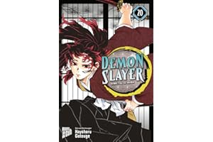 Demon Slayer - Kimetsu no Yaiba 20