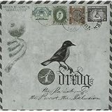 The Pariah, the Parrot, the Delusion