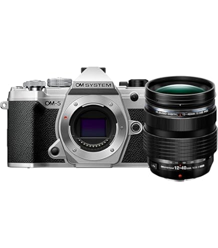 Olympus Om-D E-M10 Mark II Appareil Photo sans Miroir avec