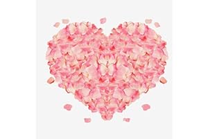 FLZONHUT 1500 pétalos de Rosa Rojos, pétalos de Rosa Artificiales, pétalos de Rosa para Boda, pétalos de Rosa para una Noche romántica, Boda, Evento,decoración de Bodas(Rosa y Blanco)