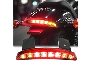 DREAMIZER 12V 8 LED Fanale posteriore per motocicletta Lente rossa tagliata Parafango posteriore Piastra del bordo Freno Stop Luce da corsa con indicatore di direzione per Sportster XL883N 1200N XL1200V XL1200X