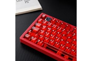 SUMGSN Lot de 114 Touches Transparentes pour Clavier mécanique Cherry MX - Rouge et Transparent