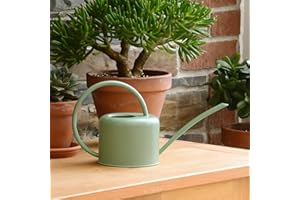CKB Ltd® Small 1.1L Indoor Watering Can - Sage Coloured Galvanised Powder Coated Steel - For Houseplants Contemporary Metal Design With Narrow Spout And High Handle (Sage Green)